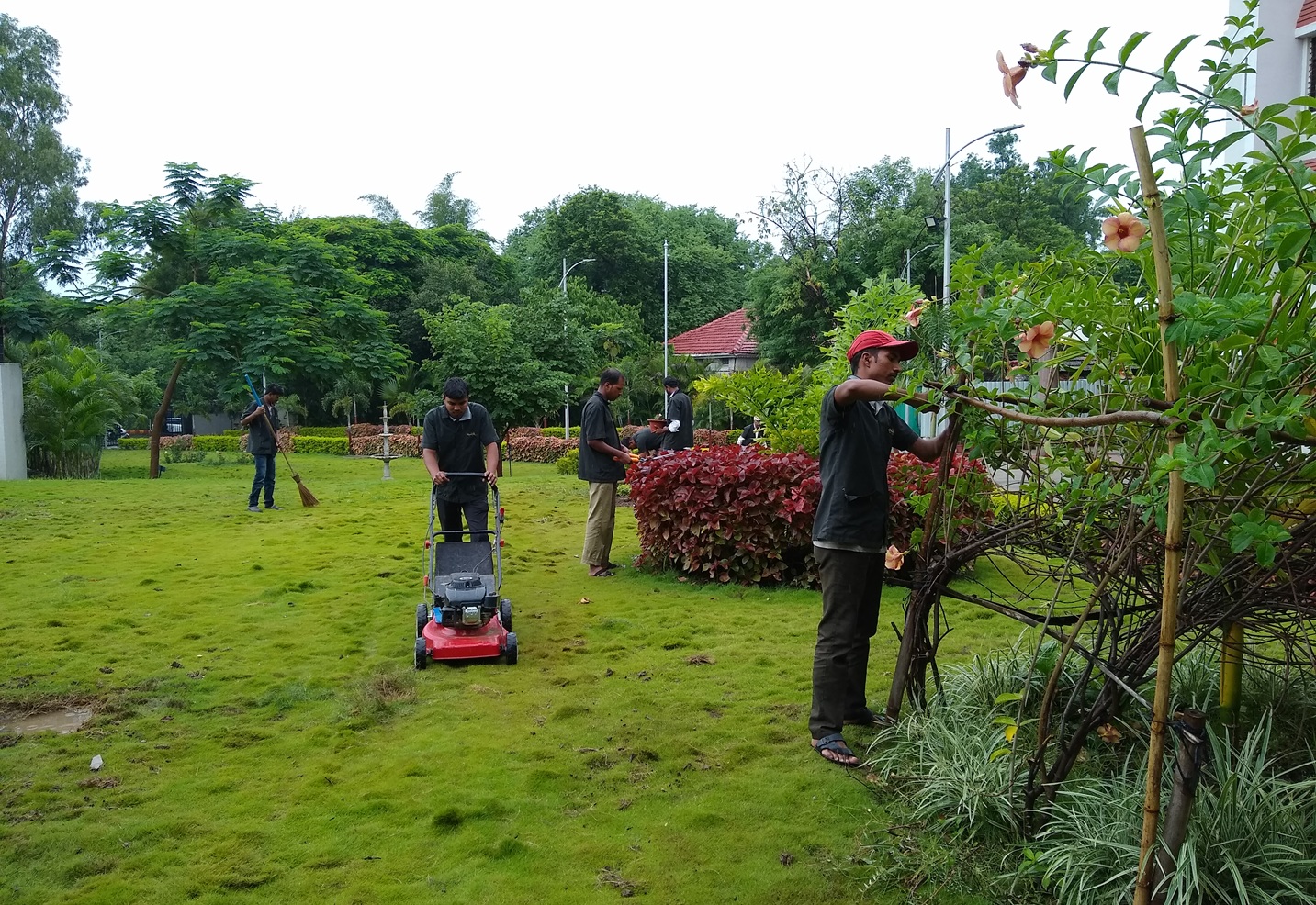 Horticulture and gardening services